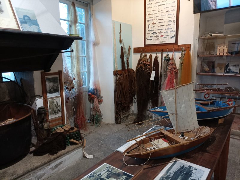 Ex Casa Ugo Ara/Scuole Elementari/Museo della Pesca